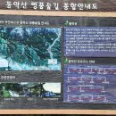 318차 번개기행: 동악산 청류계곡, 도림사,침실습지 이미지