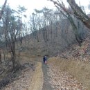 원주굽이길 원2코스 구학산둘레숲길 이미지