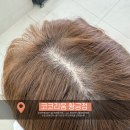 황금스파 | 대구 황금역 미용실 코코리움 황금점 헤드스파 후기 < 두피 열 많은사람 추천! >