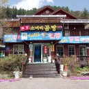 무풍면006 Daum카페