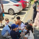 [체험후기]하루종일 영종진공원에서 놀기(숲체험, 플로깅, 씨사이드 레일바이크, 놀이터)