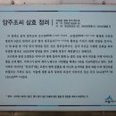 양주조씨 삼효 정려 | [세종] 양주조씨 삼효정려(楊州趙氏三孝旌閭)