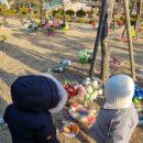 이혁농장 이미지