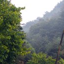 주천강자연휴양림 이미지