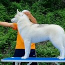 오픈주 하남스타필드점 이미지