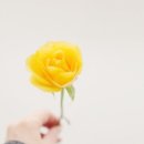 좋은인연 이미지
