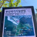 다대포 원조 해물칼국수 이미지