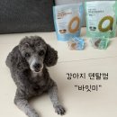 바로덴탈 | 강아지 치석 고민이라면? 강아지 덴탈껌 바잇미 원형 양치껌 후기