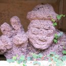 돌하르방공원 이미지