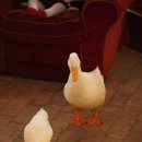 오리 베이커리 이미지