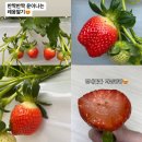 현광1농장 이미지