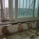 성화파인빌 이미지