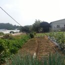 준서네 농장 이미지