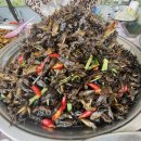 캄보디아푸드레스토랑 | 프놈펜 가는 길, 거미 튀김부터 딤섬 엠퍼러까지｜캄보디아에서 맛보는 음식 리얼 후기