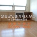 동양라디안루키 이미지