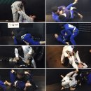 와이즈주짓수