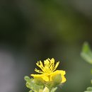 오돌개마을 이미지