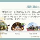 햇빛투어 네이버블로그