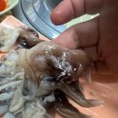 가락타운3단지제2 이미지