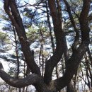 삼필산(좌) 네이버블로그
