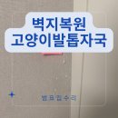 고양이 발톱자국 긁힌벽지 복원
