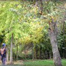 임채호약국 이미지