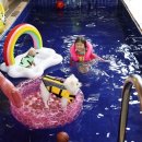 강남25동물병원 이미지