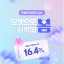 흔들리는 주식 시장 속 안정적인 재테크 추천, 모햇