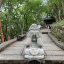 소호물꽃호스텔 이미지