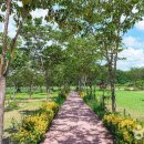 노을빛 정원 이미지