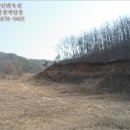 영동목장 이미지