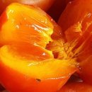 해동농장 이미지