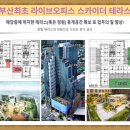 제타디엠씨