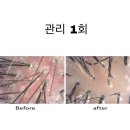 클레르두피케어센터