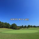 늘푸른 골프존 이미지