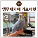 앵무새카페리프패럿광안리해수욕장점 | 창원 아이랑 가볼만한카페 - 앵무새카페 리프패럿