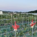 덕수농장 이미지