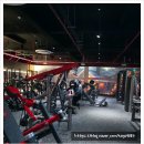 휘트니스 트리 | 250평의 여유를 그대로 담은 동해헬스장 트리트라움피트니스 첫 방문 후기