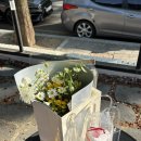 마성길R | 데이트코스로 추천하는 창원 가로수길 맛집 오빠라멘