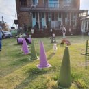 왕곡애견동반펜션 이미지