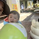 &lt;여름휴가&gt; 산청 백운산장 다녀온 후기