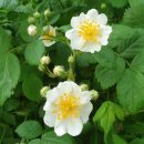 우성행정사 이미지