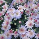 기억되는 날 이미지