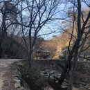 서공동물병원 | 뚜벅이 순천 1박2일 여행 (선암사 템플스테이, 선암사 카페 추천 from선암사 예찬론자)