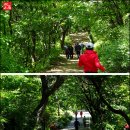 골목길식당 티스토리