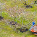 김영근 농장 이미지