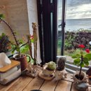 매일더탐나 이미지