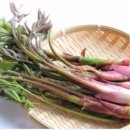 들길농장2 이미지