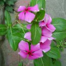 카톨릭병원 이미지