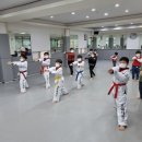 권일 태권도 네이버블로그